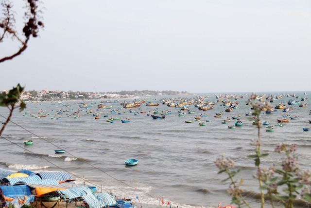 Khám phá văn hóa làng chài Mũi Né: Điểm đến độc đáo ven biển - Ảnh 5.