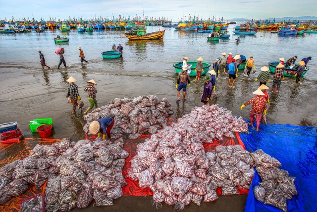 Khám phá văn hóa làng chài Mũi Né: Điểm đến độc đáo ven biển - Ảnh 9.