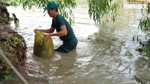 Ghe chở lúa chìm dưới kênh Cả Dứa tại Tây Ninh do va phải cọc nhọn - Ảnh 3.