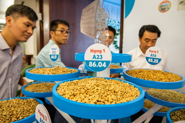 Giá cà phê tăng vùn vụt trước vụ thu hoạch, nông dân phấn khởi
- Ảnh 1.