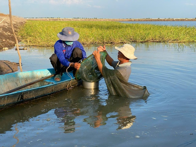 Mưa bão gia tăng, cảnh báo lũ sông Cửu Long lên nhanh vào cuối tháng 8- Ảnh 1. Mưa bão gia tăng, cảnh báo lũ sông Cửu Long lên nhanh vào cuối tháng 8- Ảnh 1.