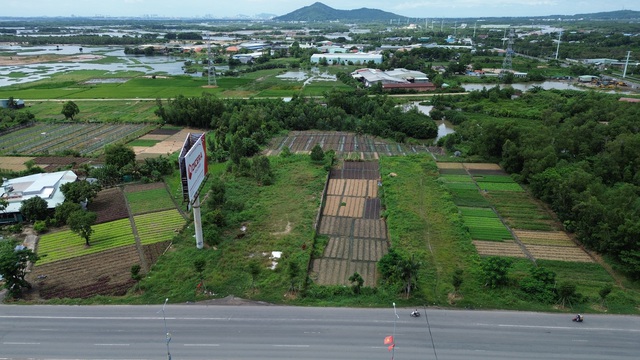 Chủ tịch HĐND TP.HCM Võ Văn Minh: Phường Tân Hải giảm sự phụ thuộc vào QL51- Ảnh 3.