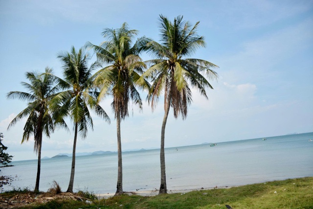 An Giang: Hai du khách tử vong khi chèo thuyền sup trên biển - Ảnh 1.