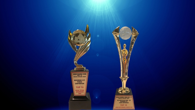 EVNHCMC được vinh danh tại ASEAN Award 2025 - Ảnh 3.