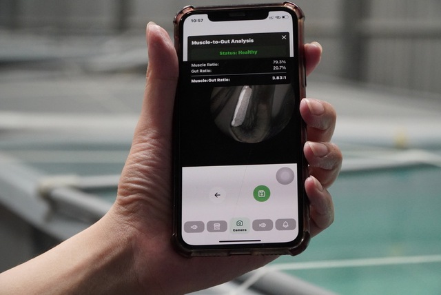 Ứng dụng đ&aacute;nh gi&aacute; sức khỏe t&ocirc;m giống bằng AI- Ảnh 1.