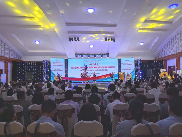Gia Lai mở lối xuất khẩu nông sản tỉ đô sang thị trường Trung Quốc - Ảnh 1.