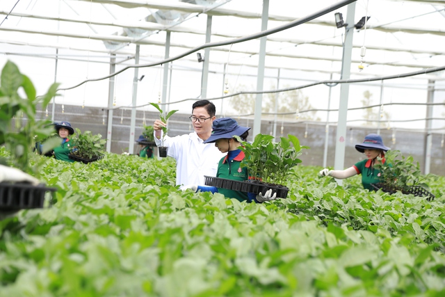 Gia Lai khai thác tiềm năng xuất khẩu nông sản sang thị trường Trung Quốc - Ảnh 1. Gia Lai khai thác tiềm năng xuất khẩu nông sản sang thị trường Trung Quốc - Ảnh 1.