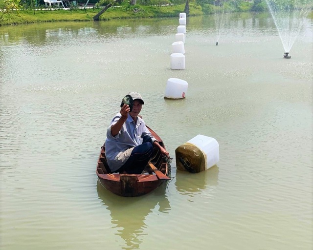 Với ao nuôi diện tích 1.700 m2, anh Hào thả nuôi hơn 1.000 con trai nước ngọt để làm du lịch Với ao nuôi diện tích 1.700 m2, anh Hào thả nuôi hơn 1.000 con trai nước ngọt để làm du lịch