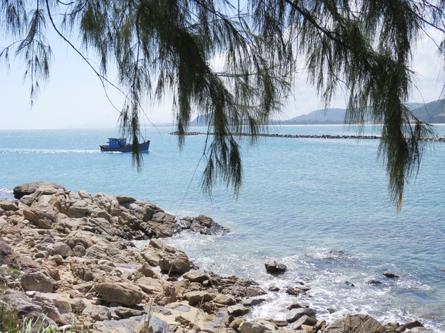 

Thùy dương rủ bóng ở Sa Huỳnh  