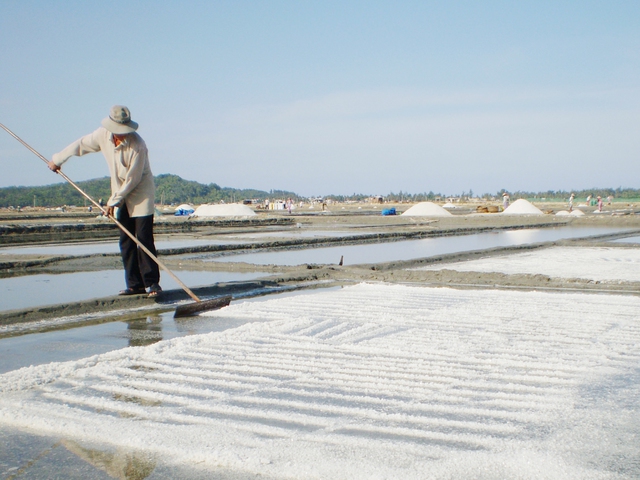 

Diêm dân thu hoạch muối trong nắng hạ  