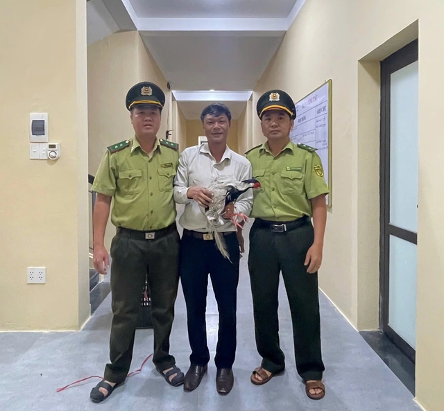 Người dân TP.Huế phát hiện gà lôi trắng gần tượng rồng hồ Thủy Tiên - Ảnh 1.