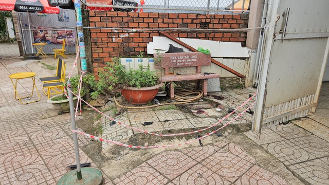  - Ảnh 1.