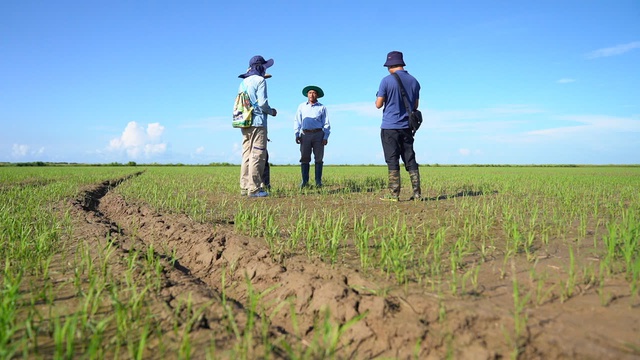 Hạt giống hạnh phúc: Hành trình gieo mầm tình hữu nghị Việt Nam - Cuba - Ảnh 2.