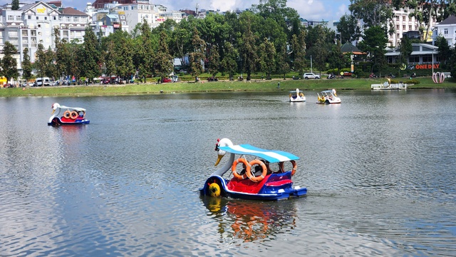 Đạp vịt (pedalo) trên hồ Xuân Hương hoạt động trở lại - Ảnh 2.