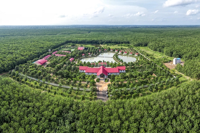 Chư Sê - Kampong Thom: Ngọn cờ đầu của ngành cao su Việt Nam trên đất Campuchia- Ảnh 1.
