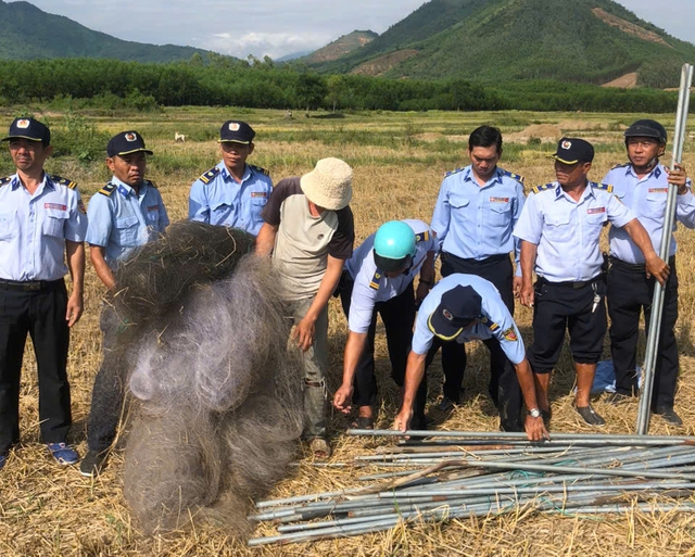Khánh Hòa: Báo động tình trạng bẫy chim yến trái phép - Ảnh 2.