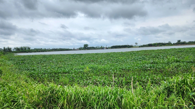 T&acirc;y Ninh: Người khai th&aacute;c &ldquo;đất l&uacute;a th&agrave;nh hồ nước khổng lồ&rdquo; tố c&aacute;o - Ảnh 1.