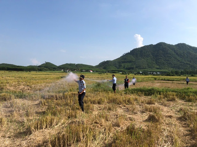 Khánh Hòa: Báo động tình trạng bẫy chim yến trái phép - Ảnh 3.