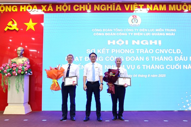 PC Quảng Ngãi hoàn thành tốt nhiệm vụ sản xuất kinh doanh - Ảnh 1.