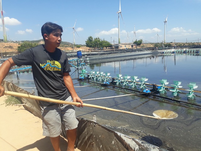 Kh&aacute;nh H&ograve;a: Bứt ph&aacute; kinh tế biển sau hợp nhất - Ảnh 5.