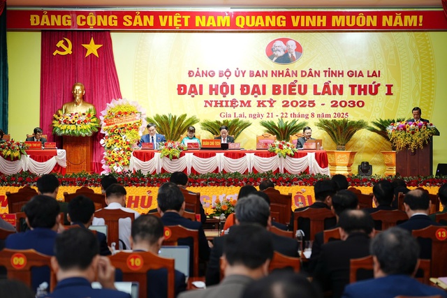 UBND tỉnh Gia Lai lần đầu tổ chức Đại hội Đảng bộ sau sáp nhập - Ảnh 1.