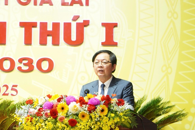 UBND tỉnh Gia Lai lần đầu tổ chức Đại hội Đảng bộ sau sáp nhập - Ảnh 3.