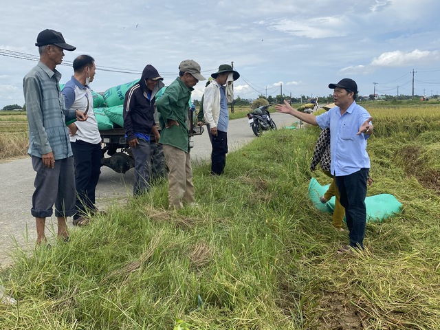 Lực lượng chức năng, người dân Huế chằng chống nhà cửa, ứng phó bão số 5- Ảnh 1. Lực lượng chức năng, người dân Huế chằng chống nhà cửa, ứng phó bão số 5- Ảnh 1.