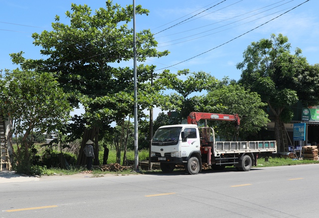 Rắc rối vì một lô đất cấp hai sổ đỏ- Ảnh 2.