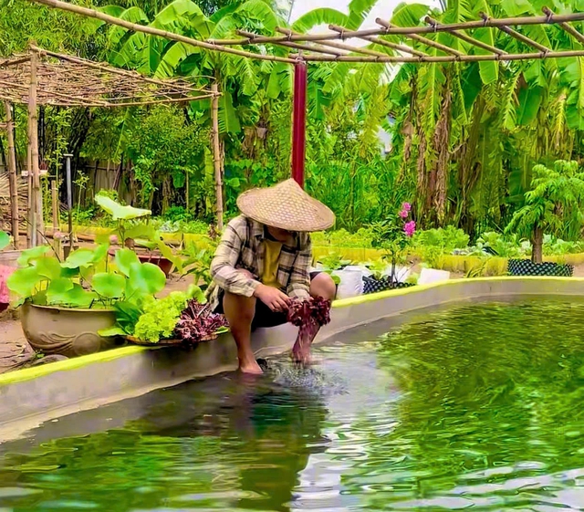 Chàng trai bỏ phố về quê sau biến cố, tạo dựng khu vườn chữa lành - Ảnh 2.