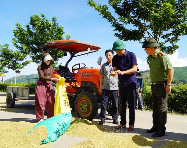Người dân Quảng Trị xuyên đêm gặt lúa, chạy đua với bão số 5- Ảnh 2. Người dân Quảng Trị xuyên đêm gặt lúa, chạy đua với bão số 5- Ảnh 2.