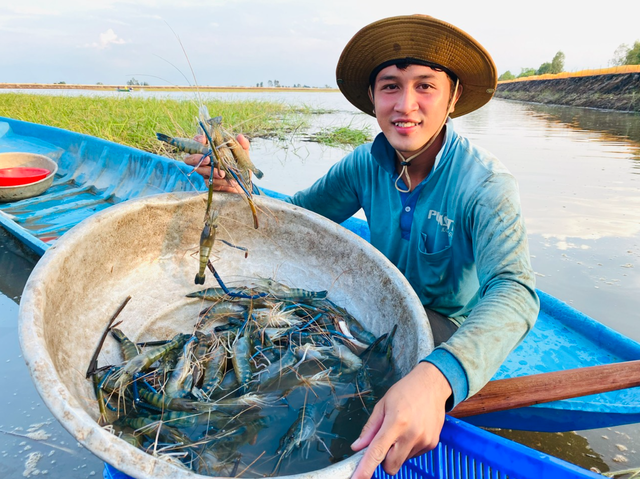Lũ sông Mekong lên nhanh vì bão số 5- Ảnh 1.