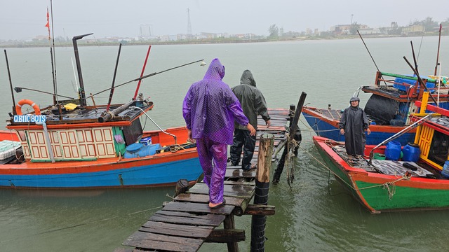 Bão số 5: Tàu rời âu thuyền trước bão, biên phòng Quảng Trị vận động quay lại- Ảnh 6. Bão số 5: Tàu rời âu thuyền trước bão, biên phòng Quảng Trị vận động quay lại- Ảnh 6.