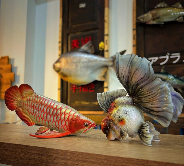 Cá… bất tử gây sốt mạng xã hội - Ảnh 2.