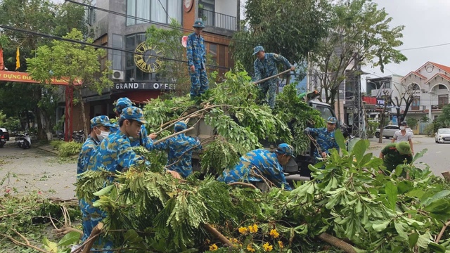 M&agrave;u xanh sau b&atilde;o- Ảnh 2.