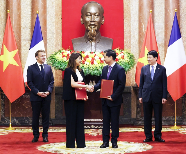 Th&agrave;nh tố tất yếu trong hệ sinh th&aacute;i y tế quốc gia - Ảnh 2.