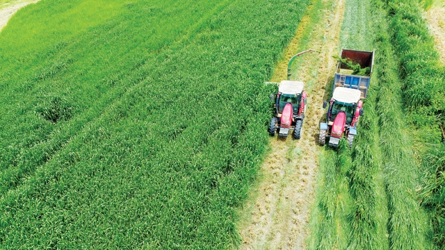 Vinamilk 'mở khóa tự nhiên' ở trang trại Green Farm để phát triển bền vững - Ảnh 4.
