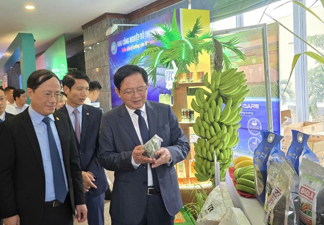 Kỷ lục đầu tư Gia Lai đạt 4 tỷ USD và tiềm năng phát triển bền vững - Ảnh 3. Kỷ lục đầu tư Gia Lai đạt 4 tỷ USD và tiềm năng phát triển bền vững - Ảnh 3.