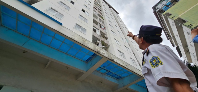 Chim công bay vào chung cư, cư dân 'mê mẩn' vì quá đẹp- Ảnh 2. Chim công bay vào chung cư, cư dân 'mê mẩn' vì quá đẹp- Ảnh 2.