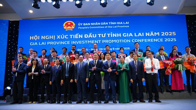 Kỷ lục đầu tư Gia Lai đạt 4 tỷ USD và tiềm năng phát triển bền vững - Ảnh 1. Kỷ lục đầu tư Gia Lai đạt 4 tỷ USD và tiềm năng phát triển bền vững - Ảnh 1.