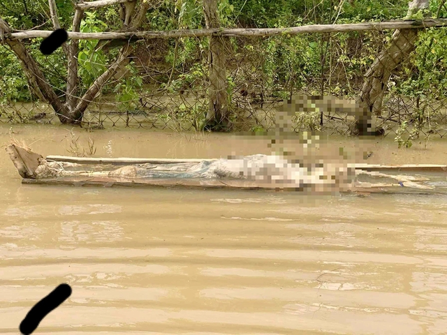 Tìm thi thể và quan tài trôi trên hồ thủy điện Hủa Na , Nghệ An - Ảnh 1. Tìm thi thể và quan tài trôi trên hồ thủy điện Hủa Na , Nghệ An - Ảnh 1.