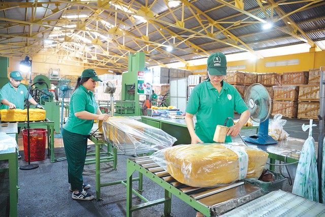 Tổng công ty Cao su Đồng Nai: Bứt phá từ nền tảng vững chắc - Ảnh 2. Tổng công ty Cao su Đồng Nai: Bứt phá từ nền tảng vững chắc - Ảnh 2.
