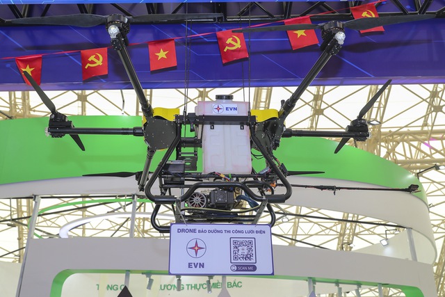 Điện lực Việt Nam: Hành trình đến vị trí đứng đầu Đông Nam Á - Ảnh 3.