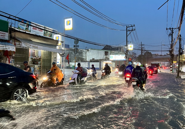 TP.HCM đang 'chìm dần', có nơi đến 8 cm/năm vì... sụt lún đất - Ảnh 1.