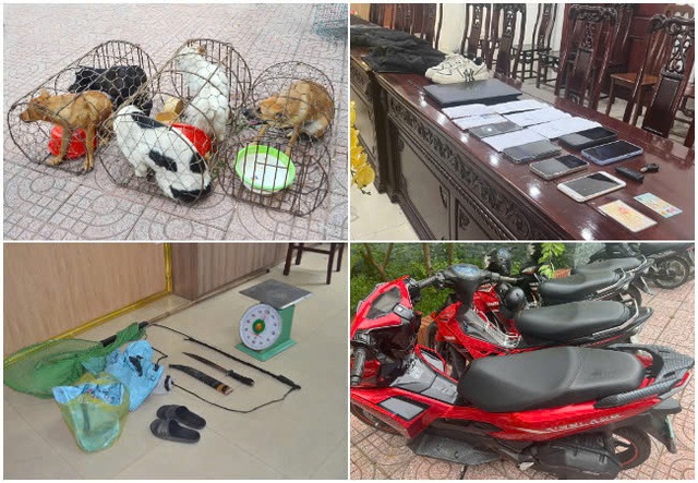 Bắt nh&oacute;m nghi phạm thực hiện 50 vụ trộm ch&oacute;, mang kiếm, k&iacute;ch điện để chống trả - Ảnh 2.