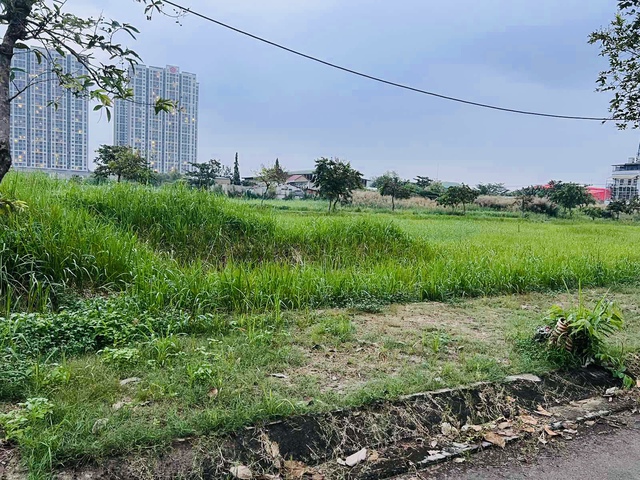 TP.HCM kiến nghị gỡ khó cho đất công- Ảnh 1.