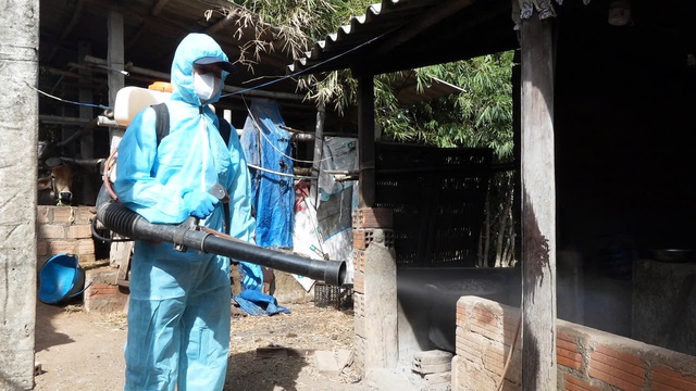 Khánh Hòa chỉ đạo thành lập Tổ cơ động chống dịch tả heo châu Phi- Ảnh 1. Khánh Hòa chỉ đạo thành lập Tổ cơ động chống dịch tả heo châu Phi- Ảnh 1.