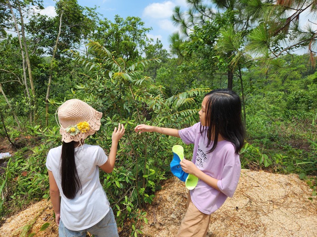 Nhiều cách hay cho trẻ chuẩn bị khép lại mùa hè, đón năm học mới - Ảnh 1.