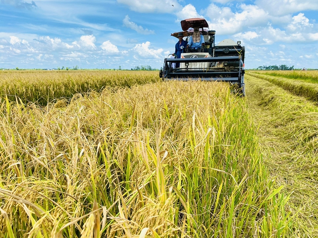 Từ 'gạo xanh' đến nông sản phát thải thấp- Ảnh 1.