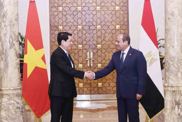 VN - Ai Cập nâng cấp quan hệ Đối tác toàn diện - Ảnh 1.