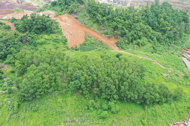 Núi Pháo tiên phong xanh hóa đất mỏ- Ảnh 2. Núi Pháo tiên phong xanh hóa đất mỏ- Ảnh 2.